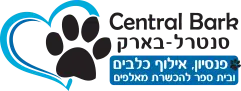 סנטרל בארק